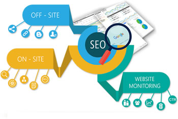 SEO Services in Noida